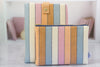 Desert Stripe Bookworm Bundle - Modern Tally - kindle case and book sleeve
