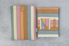 Desert Stripe Bookworm Bundle - Modern Tally - kindle case and book sleeve