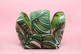 Monstera Double Zip Makeup Bag